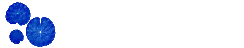 Marta Palmosi Psicologa